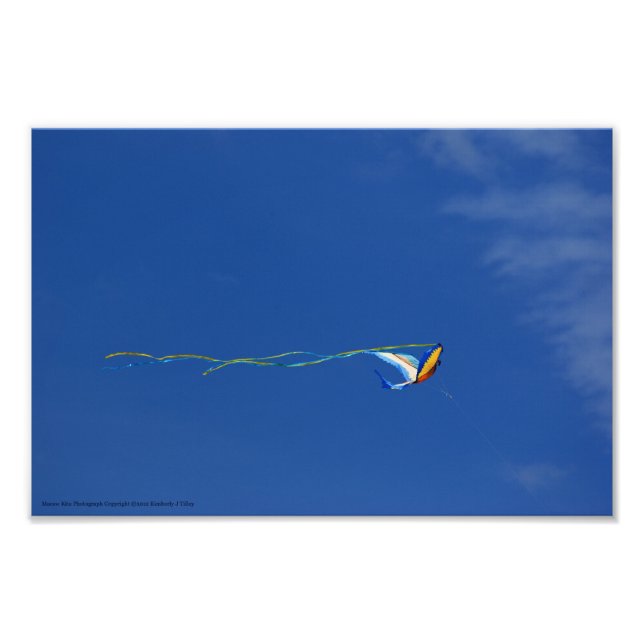 Foto Macaw Kite (Frente)
