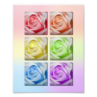 Foto Macro Rainbow Rosa Retrato