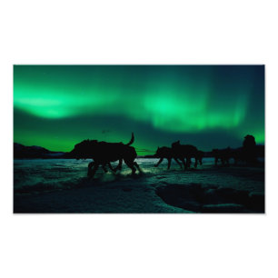 Foto Mágica da procura de Yukon