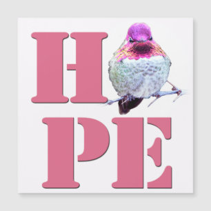 Foto magnética de Hummingbird de Anna Rosa-ESPERA