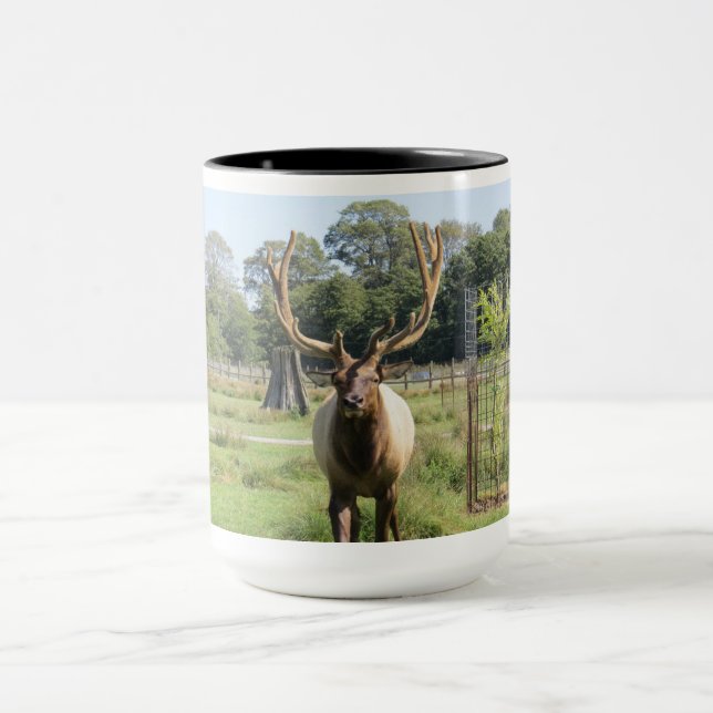 Foto magnífica de Bull Elk na caneca combo 15oz (Centro)