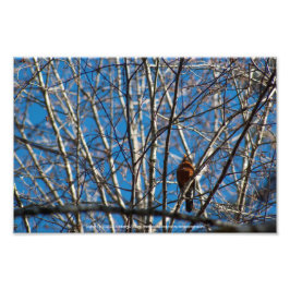 Foto Mais alto para cima