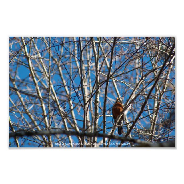 Foto Mais alto para cima (Frente)