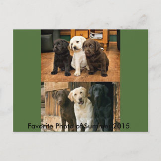 Foto Mais Favorita de 2015: Cartão Postal