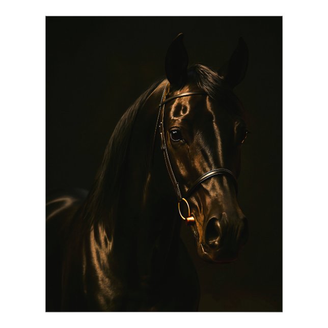 Foto Majestätischer Fuchsbrauner Hengst im Dunkeln (Frente)