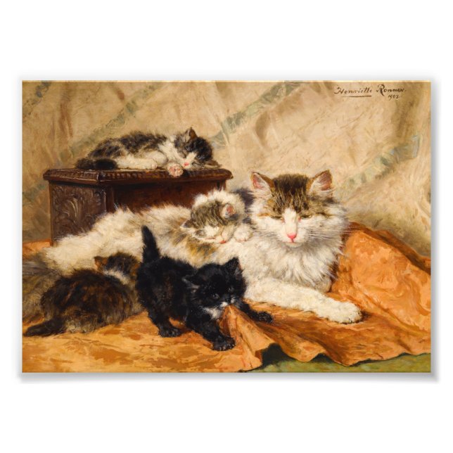 Foto Mamãe e Seus Gatinhos (Frente)