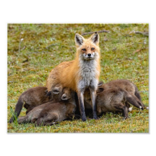 Foto Mamãe Oferece Uma Refeição Familiar