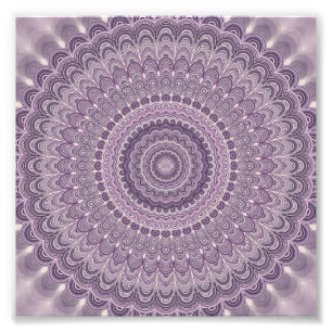 Foto Mandala roxa da pena