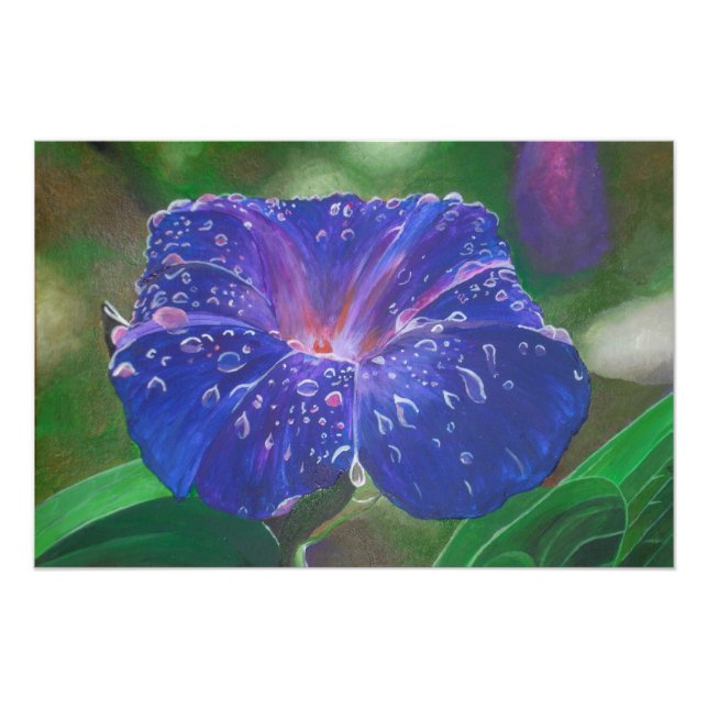 Foto Manhã Glória (Ipomoea Purpurea) Petais e Dew Dr. (Frente)