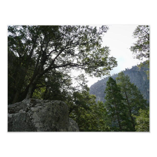 Foto Manhã na trilha para as quedas vernais em Yosemite (Frente)