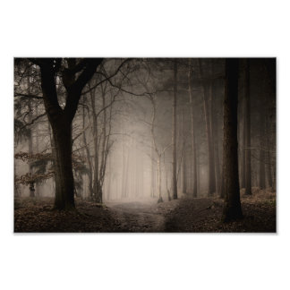 Foto Manhã Nebulosa Parque Country Rushmere (0856)
