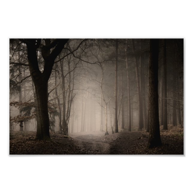 Foto Manhã Nebulosa Parque Country Rushmere (0856) (Frente)