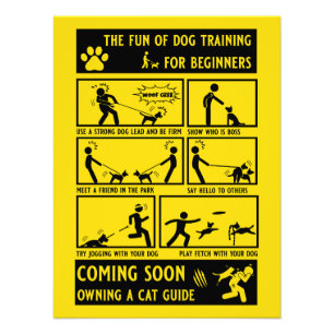 Foto Manual de instruções de treinamento de cães engraç