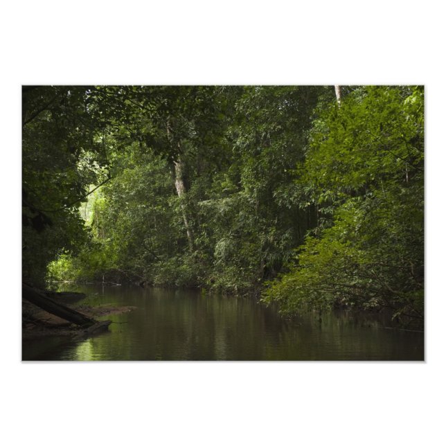 Foto Mapari River, Mapari Rupunununi, Guiana. (Frente)