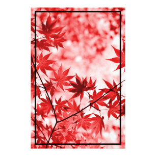 Foto Maple Trees Deixa Design