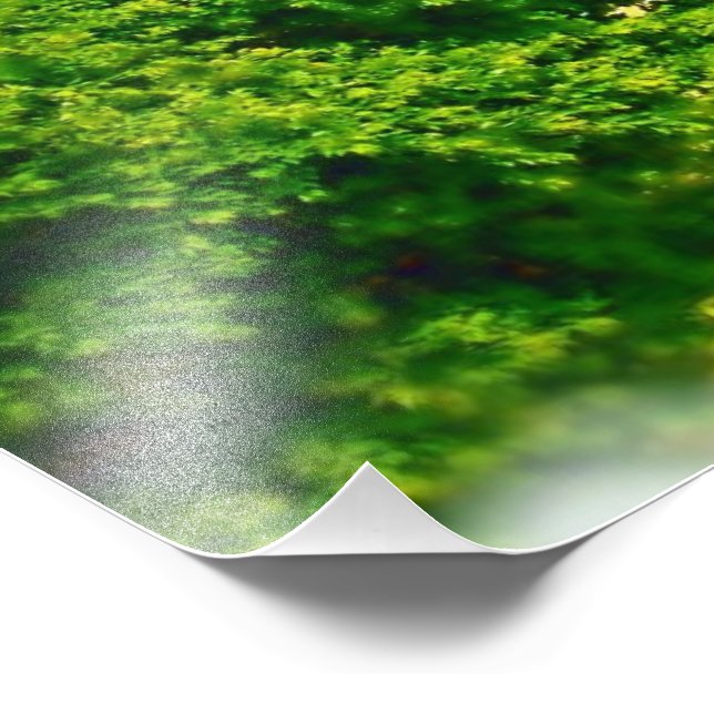 Foto Margens do Lago de Chicago Beach (Borda)