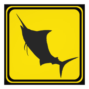 Foto Marlin Azul Cruzando!