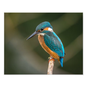 Foto Martinho pescatore