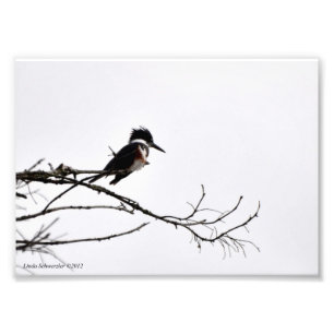Foto martinho pescatore 5X7 contra o céu austero