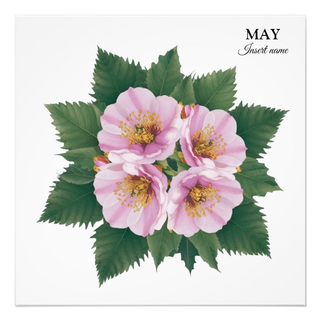Foto May Birthday Hawthorn Bloom: Floral Personalizado (Frente)