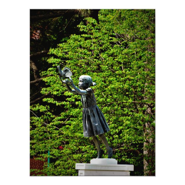 Foto "May Dreams Soar" (Frente)