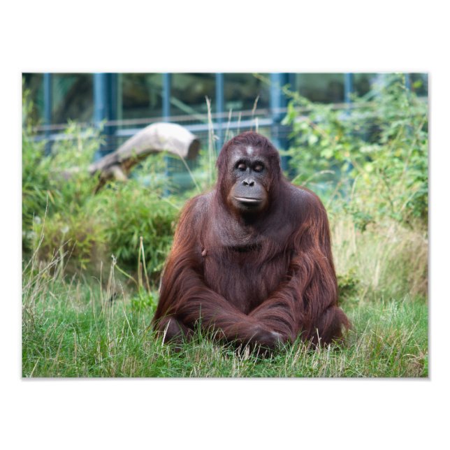 Foto Meditação (Frente)