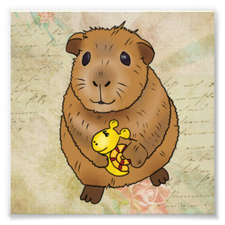 Foto Meerscheinchen und Schnecke