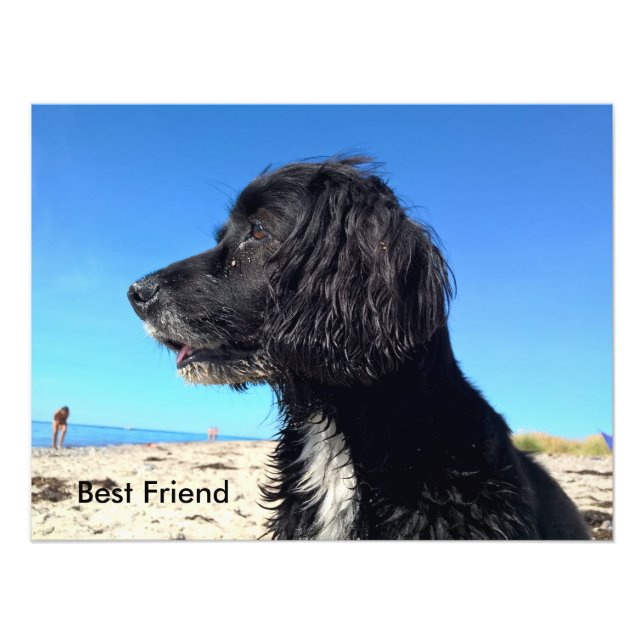 Foto Melhor Amigo (Frente)