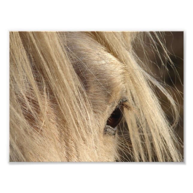 Foto Mensagem Mane Day (Frente)