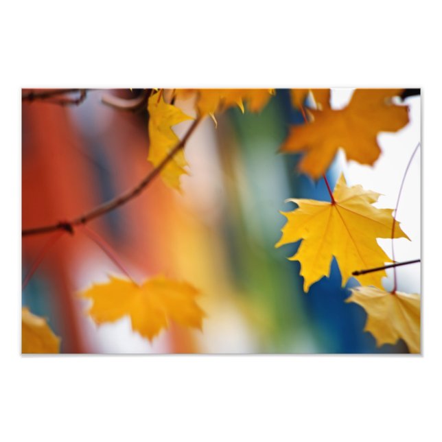 Foto Meridian Fall. (Frente)