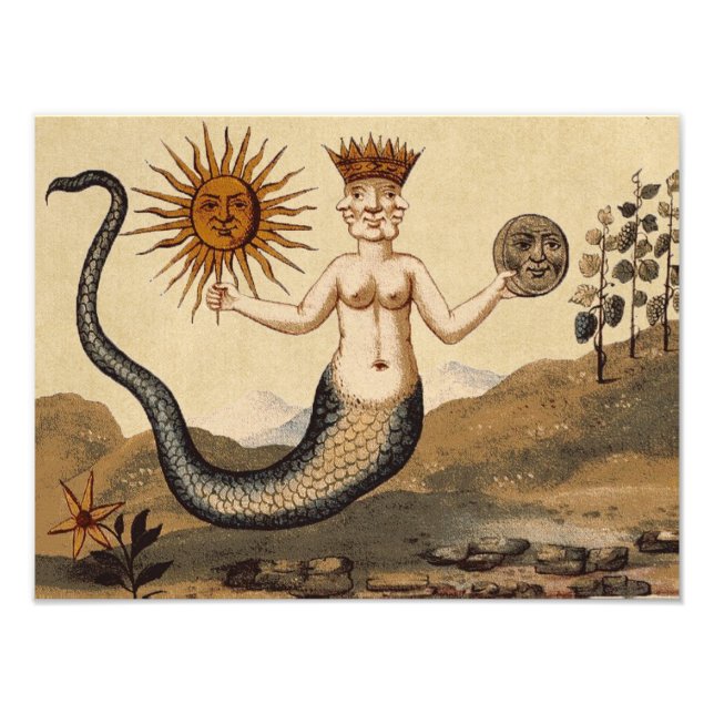 Foto Merman Sun e Moon (Frente)