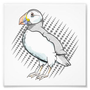 Foto Metades do Puffin