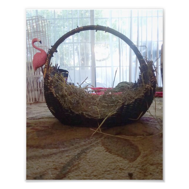 Foto Meu coração (Frente)