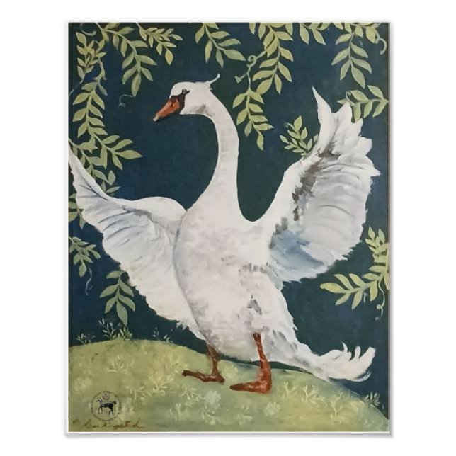 Foto meu doce cisne (Frente)