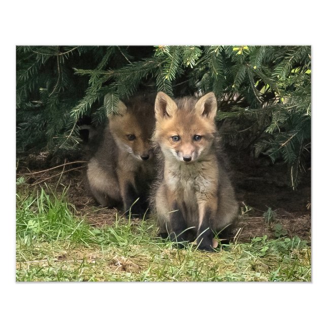 Foto Meu Irmão (Frente)