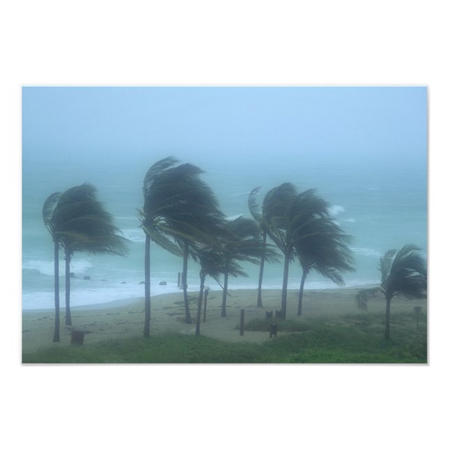 Foto Miami Beach, Flórida, ventos de furacão a chocar (Frente)