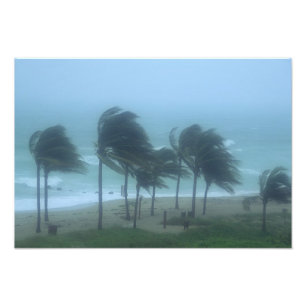 Foto Miami Beach, Flórida, ventos de furacão açoitando