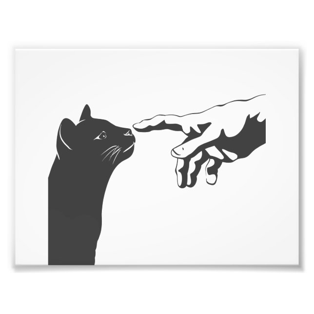 Foto Michelangelo Cat - Escolha a cor de fundo (Frente)