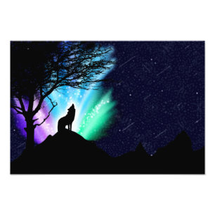 Foto Midnight Howl