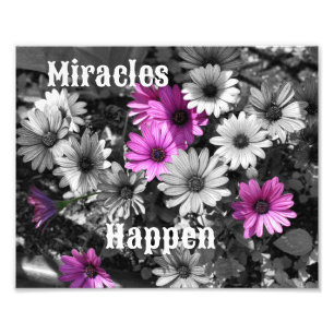 Foto Milagres acontecem flores margaridas inspiracionai