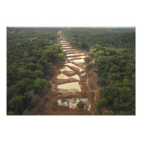 Mineração de Ouro Aluvial. Floresta Tropical, Guia