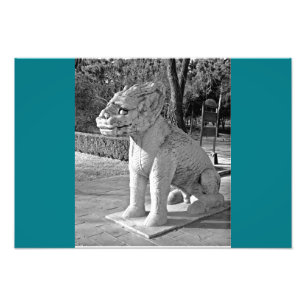 Foto Ming Tombs Dragon B&W