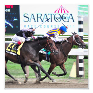 Foto Minha Senhorita Aurelia - O Adirondack