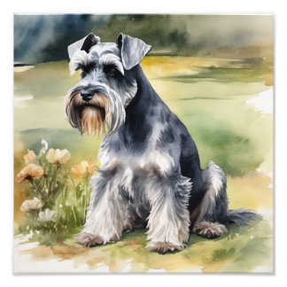 Foto Miniatura Schnauzer no jardim - Aquarela
