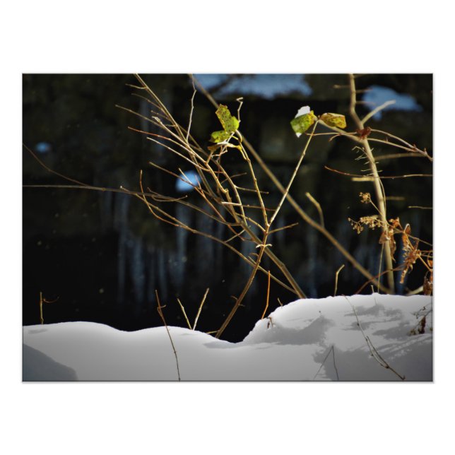 Foto "Minnesnowta não vista" (Frente)