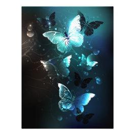 Foto Mint Night Butterflies