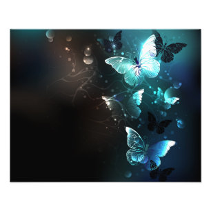 Foto Mint Night Butterflies