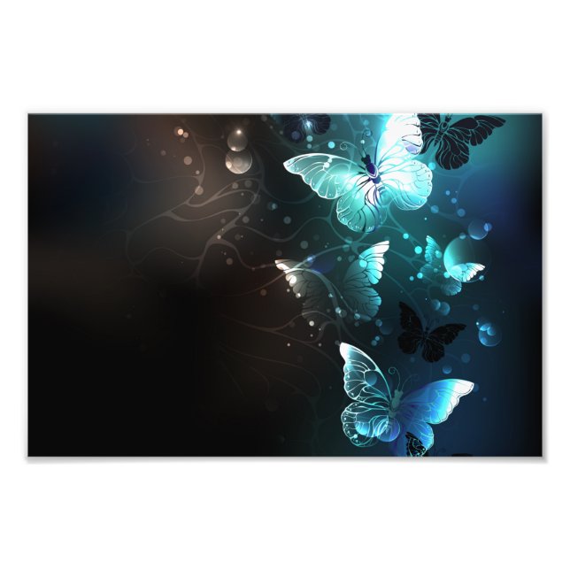 Foto Mint Night Butterflies (Frente)