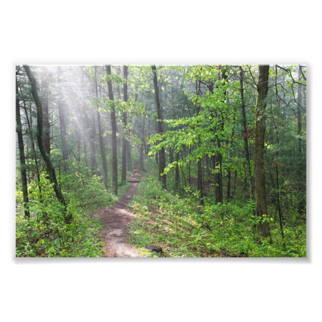 Foto Misty Forest Trail em Castle Mound (Frente)