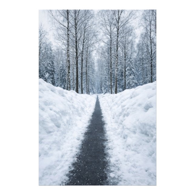 Foto Misty Winter Forest Path Winter Landscape Poster (Frente)